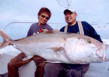 夢到釣到大魚|夢見釣到大魚